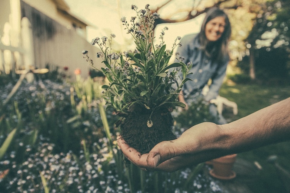 Comment débuter vos travaux de rénovation pour un jardin réussi ?